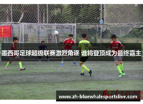 墨西哥足球超级联赛激烈角逐 谁将登顶成为最终霸主