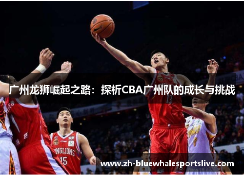 广州龙狮崛起之路：探析CBA广州队的成长与挑战