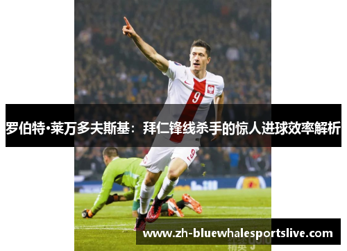 罗伯特·莱万多夫斯基：拜仁锋线杀手的惊人进球效率解析