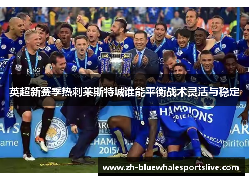 英超新赛季热刺莱斯特城谁能平衡战术灵活与稳定